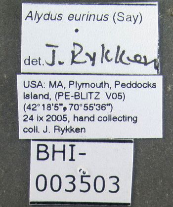 Media type: image;   Entomology 619226 Aspect: labels